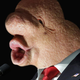 Images: Dinild Trump/Tumblr